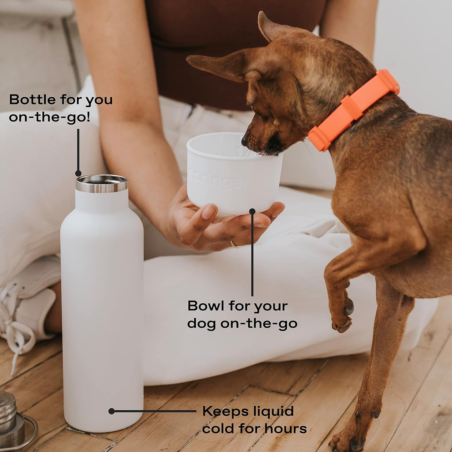HYDRO PawMate. Dog Walking Kit: Always Take Water and a Bowl with You.