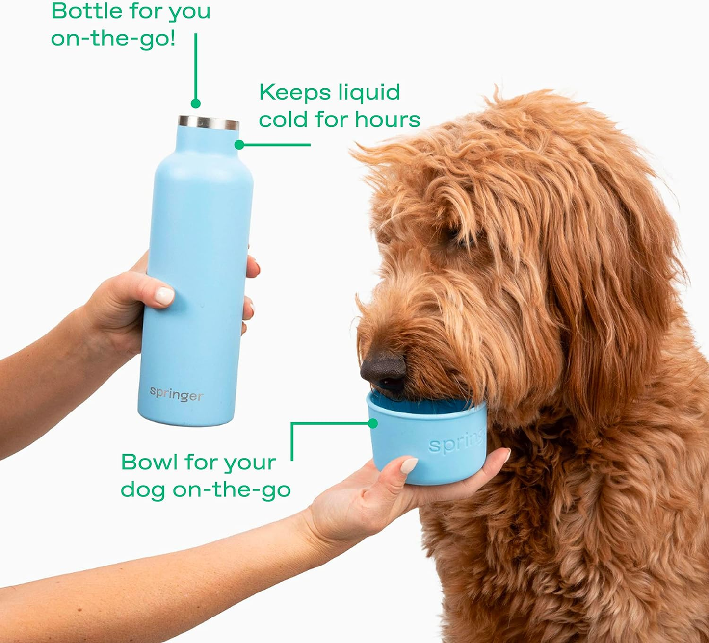 HYDRO PawMate. Dog Walking Kit: Always Take Water and a Bowl with You.